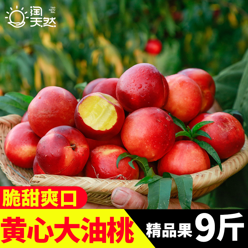 果园直发黄心油桃品质保证坏果包退