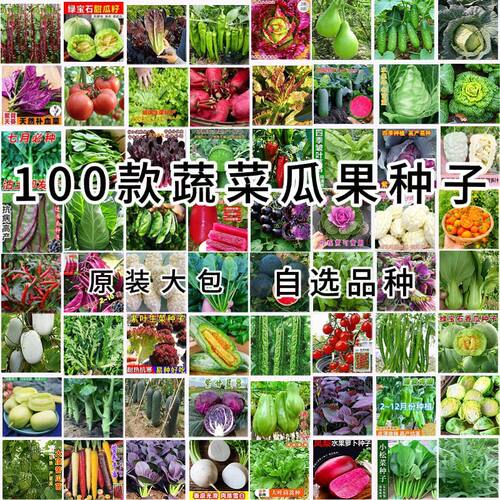 蔬菜种子四季播种盆栽土壤阳台庭院种植香菜青菜豆角生菜小葱大全