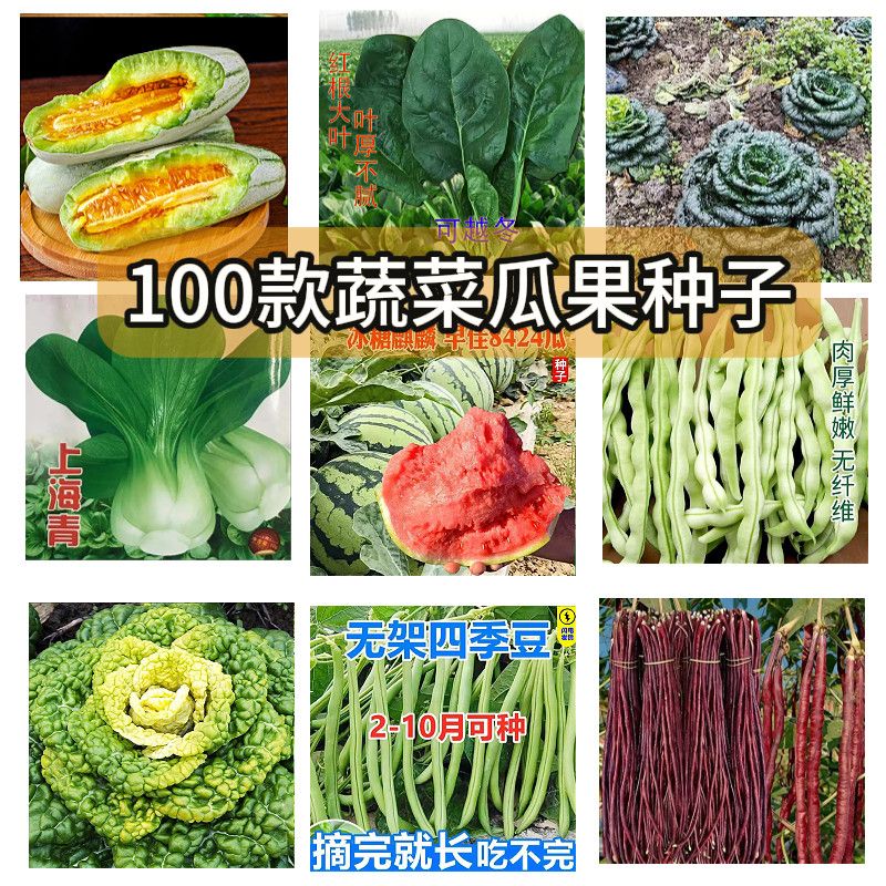 5包 四季春夏秋季蔬菜种子瓜果种籽阳台土壤盆栽农田菜园蔬菜大全图片