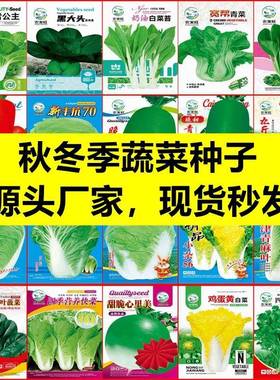 四季阳台盆栽营养土种菠菜番茄辣椒白菜葱萝卜生菜香菜籽菜种大全