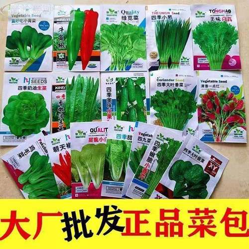 玉66种开春季春蔬菜子套餐丝瓜黄瓜辣椒HICR蔬EAT豆角种米茄子农