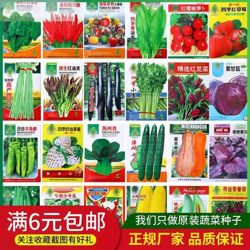 100种开春季春蔬菜子茄套餐丝瓜黄瓜辣椒HICREAT豆角蔬玉种米子农