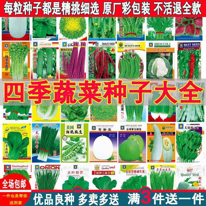 蔬菜种子四季播盆栽阳菜台庭院香菜青白萝卜生菜小葱菠菜籽肥大全