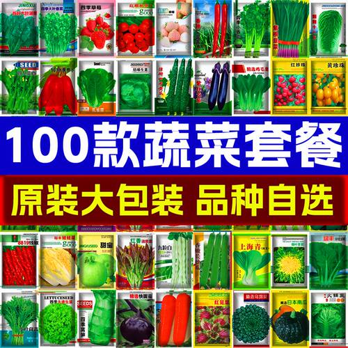 5包 蔬菜种子香菜菠蔬菜芹菜白菜辣椒南瓜生菜阳台盆栽营养土种菜
