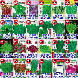 66种开春季春蔬菜子套餐瓜黄瓜辣椒HICR蔬EA丝T豆角玉种米茄子农