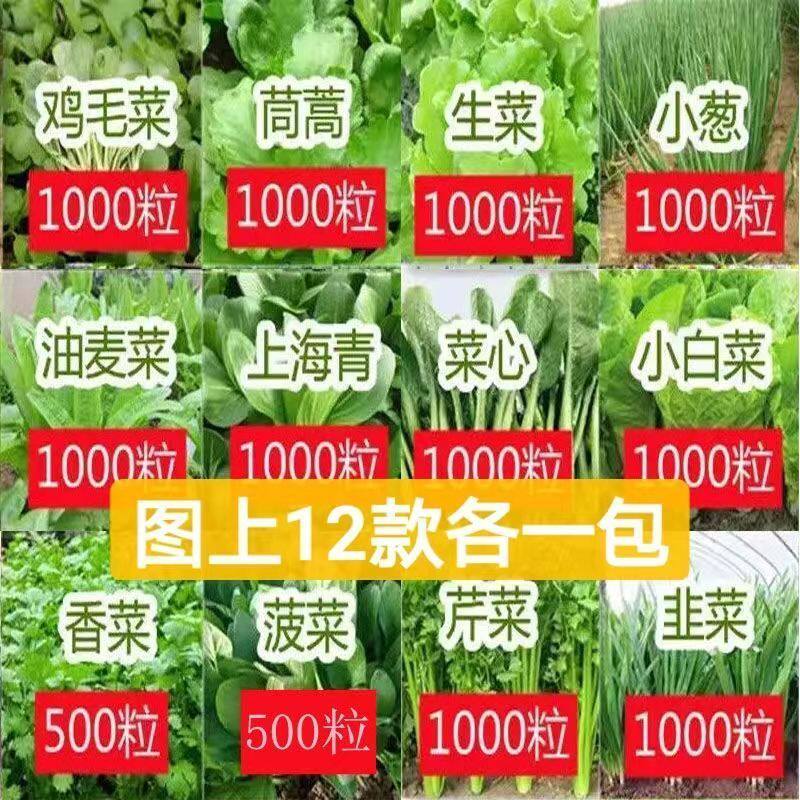 16种开春季春菜子餐套丝瓜黄瓜辣椒HICREAT蔬豆角蔬玉种米茄子农