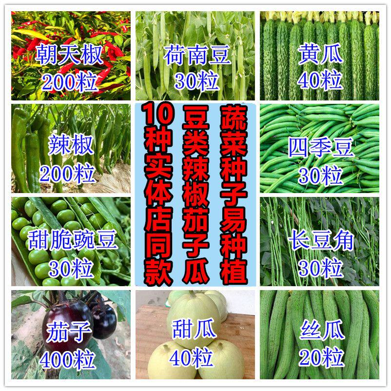 蔬菜种子四季播盆栽阳台庭院植物香菜辣椒番茄黄瓜豆角甜瓜籽大全