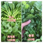 蔬菜种番子四季 播盆栽阳台庭院黄瓜豆角茄甜瓜简单春易种籽肥大全