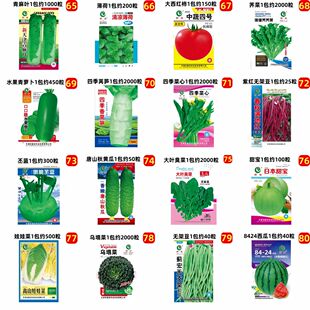 59种开春季春菜子茄园艺用品套装丝瓜黄瓜辣椒豆角蔬蔬玉种米子农