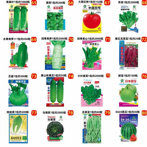 59种开春季春菜子茄园艺用品套装丝瓜黄瓜辣椒豆角蔬蔬玉种米子农