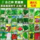 蔬菜种籽大全秋冬季 家庭室内阳台青菜叶菜香菜种籽花盆营养土种植