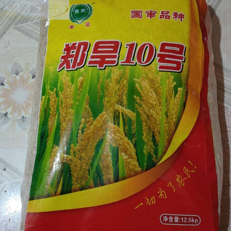旱稻种子优质稻谷籽郑旱10号种旱地山地水稻种子高产国审品种【2