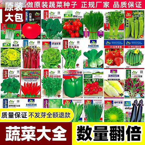 56种秋夏季蔬菜阳台土壤种丝瓜黄瓜辣椒豆角番茄子生菜空心菜农家