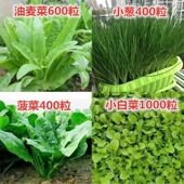 蔬菜种子四季 番茄甜瓜黄瓜籽大全 播春易种盆栽肥庭院阳台简单春季