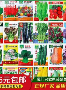 100种开春季春菜茄套餐丝瓜黄瓜辣椒HICRE子AT豆角蔬蔬玉种米子农
