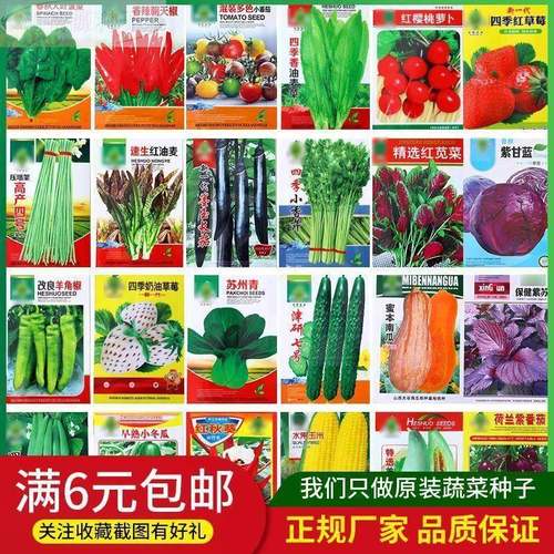 100种开春季春菜子茄套餐丝瓜黄瓜豆辣椒HICREAT角蔬蔬玉种米子农