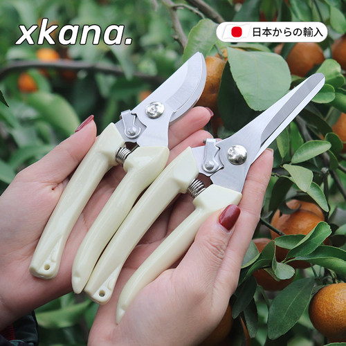 日本花艺剪刀园艺鲜花修剪五金剪子修枝园林家用鲜花插花花店专用