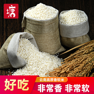 老塘子软香米大米5kg真空包装10斤 特好吃的云南粳米2025年新米