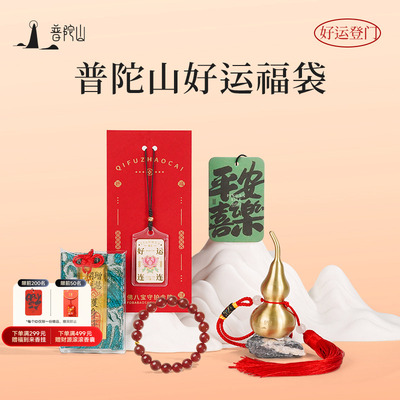 普陀山好运福袋黄金转运珠红玛瑙手串天然南红水晶毕业礼物