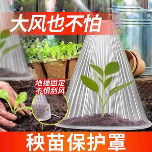 蔬菜植物罩瓜苗菜苗幼苗育苗秧苗大棚育苗保温防虫防鸟防霜保护罩