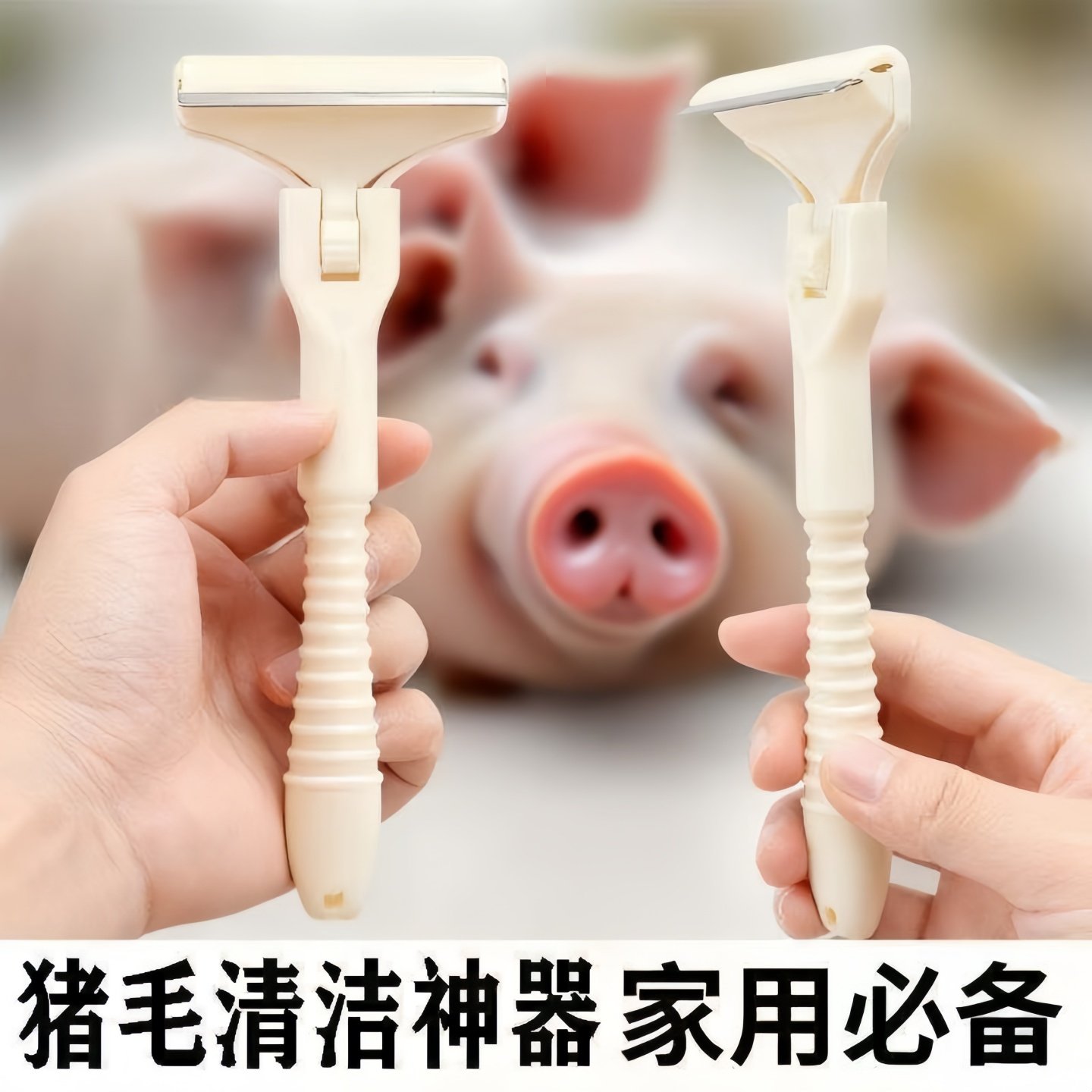 猪光光刮猪毛专用刀刮猪毛刀刮羊毛刮猪蹄刮油去油刀锋利持久刮毛,厨房/烹饪用具,厨用取毛/取刺用具,淘宝优惠券,粉丝福利购,淘宝优惠卷