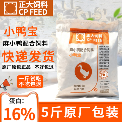 正大241小鸭宝饲料喂鸭用