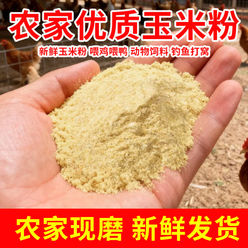 农家玉米粉粮食小鸡饲料图片