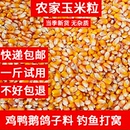 玉米粒养鸡猪牛养殖专用喂鸡鸭鹅鸽子钓鱼饲料打窝批发大颗粒饲料