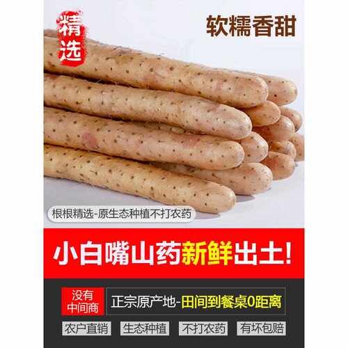 新疆包邮小白嘴山药河北新鲜5斤比温县垆土铁棍铁杆淮山怀山约药