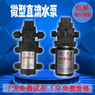微型直流水泵自吸增压喷雾器抽水泵电动小水泵12V隔膜泵高压洗车