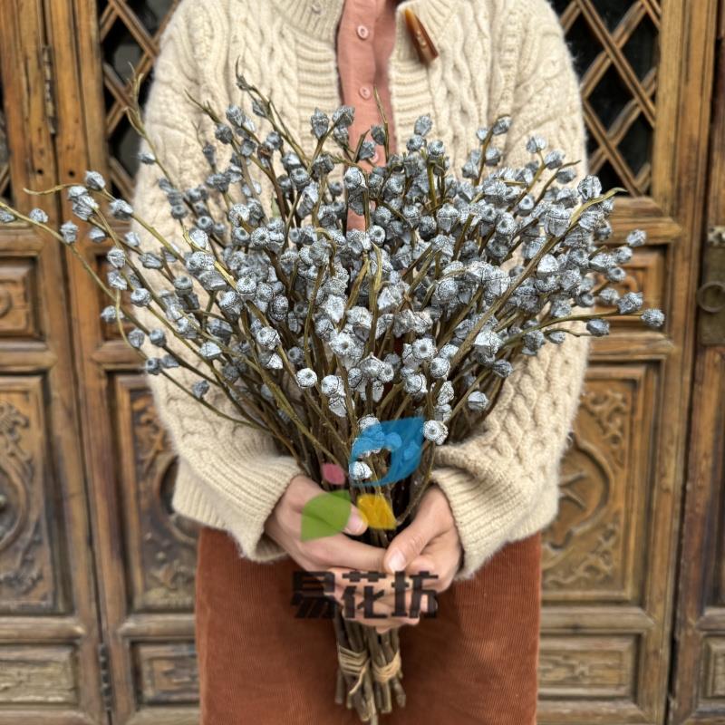 尤加利果干花花束家居装饰摆件北欧风复古场景装扮拍照插花桉树果