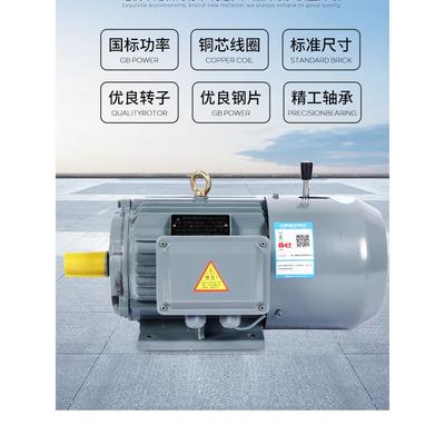 电磁制动三相异步电动机/YEJ/YEJ2-200L-4 30KW/37/45/55刹车电机