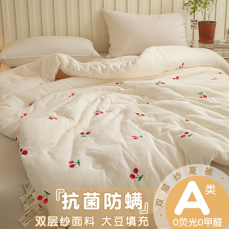 A类双层纱大豆纤维被子空调被单人春秋被儿童四季通用棉被芯水洗