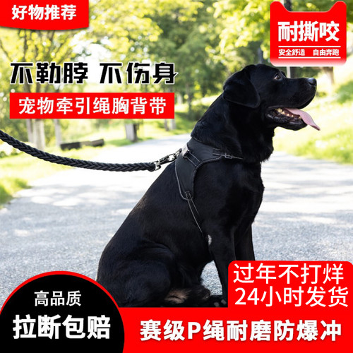 狗牵引绳中型犬金毛拉布拉多萨摩耶边牧犬背带加粗八股狗绳防爆冲-封面