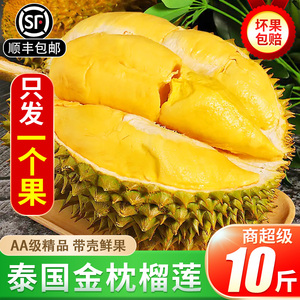 正宗泰国金枕榴莲顺丰包邮新鲜水果10斤当季一整个带壳巴掌小榴莲