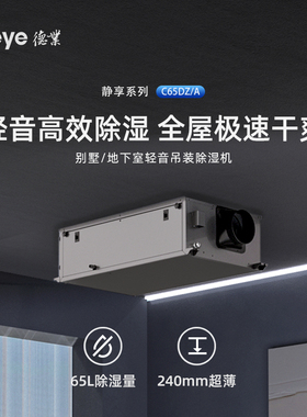 德业超薄中央吊装除湿机吊顶式抽湿器DY-C65DZ/A