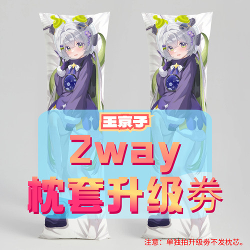 玉京子_三代2way抱枕套升级券 50x160cm枕芯 适配2.22-3.31活动