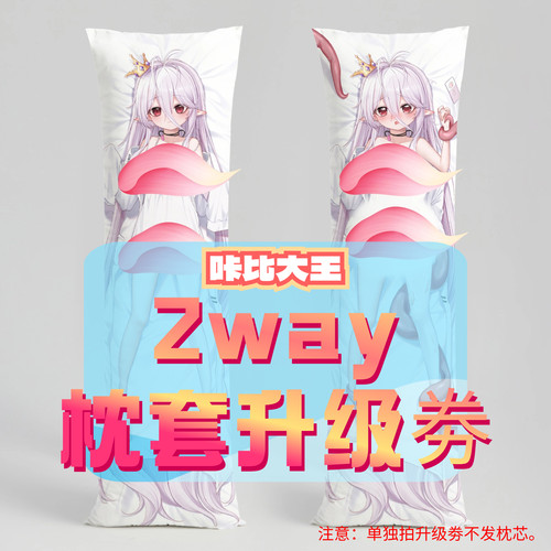咔比大王_三代2way抱枕套升级券 50x160cm枕芯 适配8.19-9.18