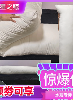50X160cm等身抱枕枕芯 高弹棉 云上七孔棉 羽绒棉 50x160cm枕芯