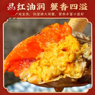 花雕熟醉蟹苏州特产美食即食呛蟹黄酒腌制螃蟹全母满黄大闸蟹熟食