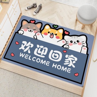 卡通水晶绒入户门防滑地毯家用浴室门口吸水脚垫耐脏易打理门垫