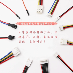 GH1.25 XH2.54 MX1.25 PH2.0 VH端子线 ZH1.5 线束加工定制SH1.0