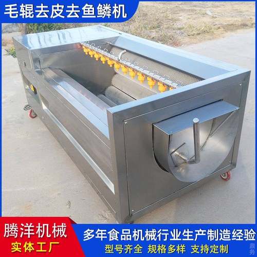 商用毛辊清洗机魔芋红薯去皮机马蹄花生莲藕毛刷去泥设备