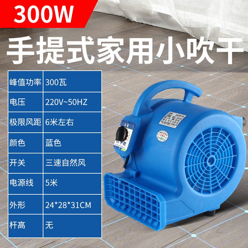 吹干机商用大功率干燥s强力吹风地毯厕所地面地板除湿吹地机