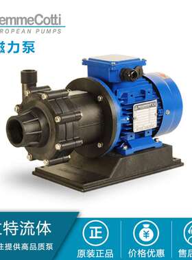 Gemmecotti磁力泵 卸酸卸碱泵 水处理泵 有机溶剂泵 进口滑片泵