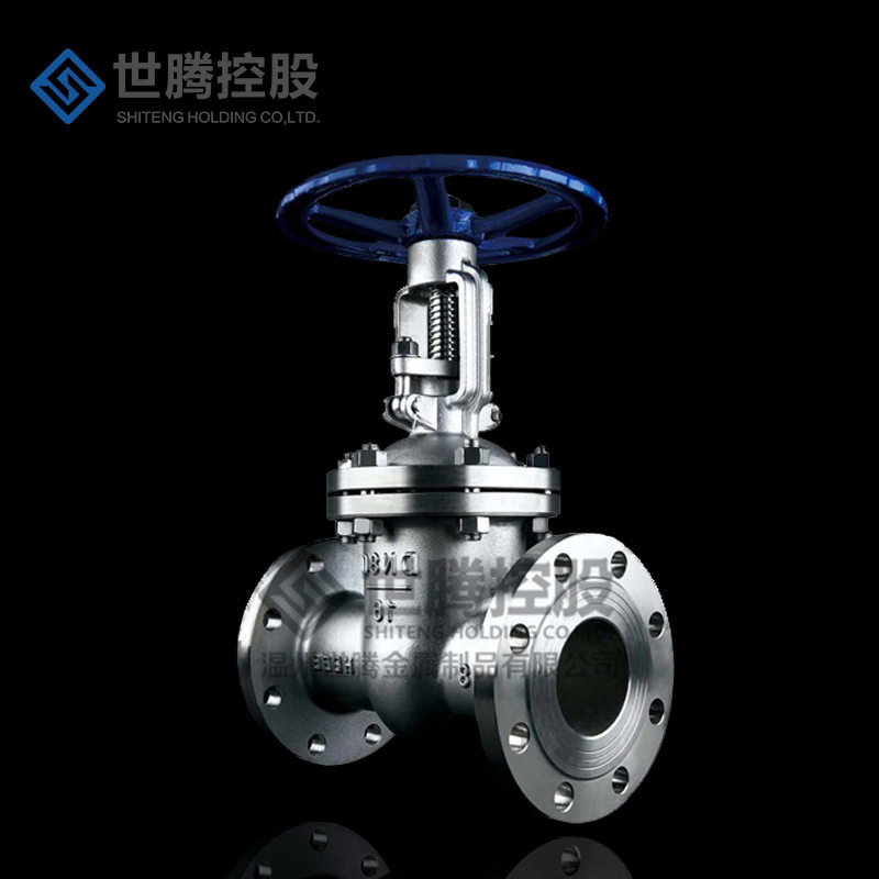 Z41H双向手动法兰闸阀 Z40Y-16C暗杆阀门 不锈钢闸阀DN100