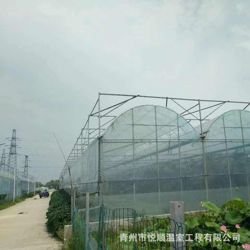 制作蔬菜水果暖棚薄膜连栋大棚骨架简易连体玻璃温室大棚工程建设