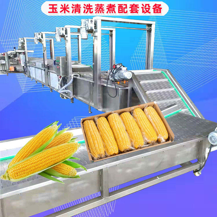 鲜玉米加工线大型 糯玉米蒸煮冷却机配套设备 黏玉米滚杠清洗机器
