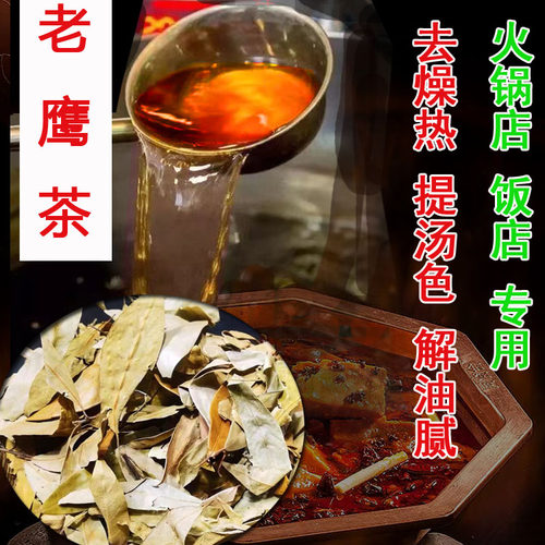 重庆巫溪盐背子老鹰茶粗叶