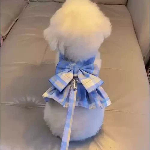 狗狗牵引绳夏季薄款泰迪比熊博美